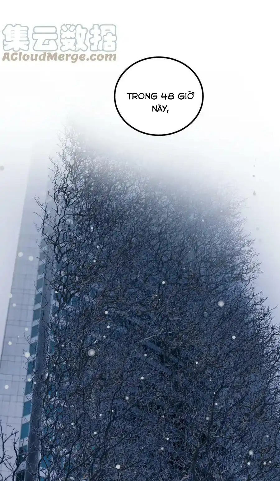 Tinh Thần Đại Hải Của Học Bá Chapter 217 - 9