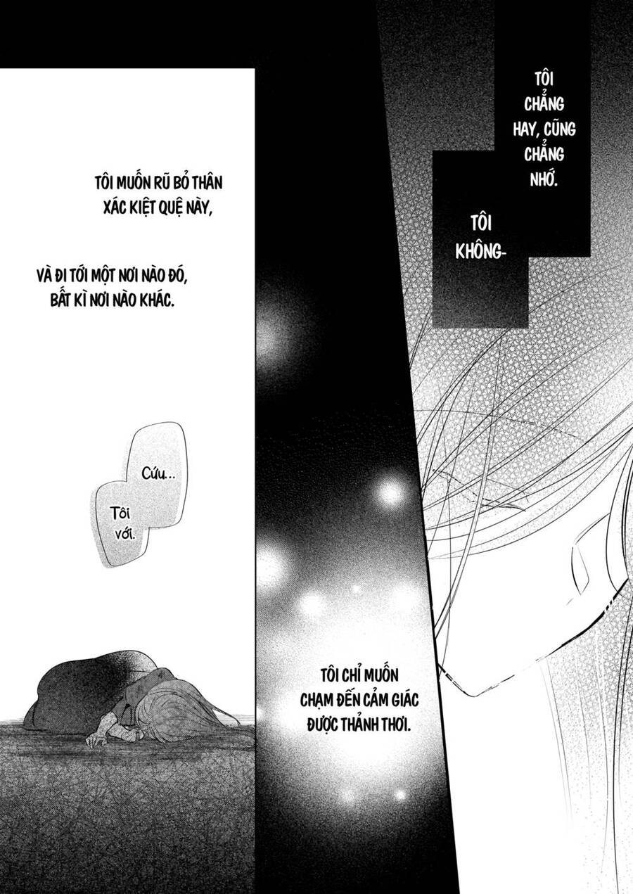 Vị Hôn Phu Của Tôi Đã Rơi Vào Lưới Tình Với Em Gái Chapter 16 - 16