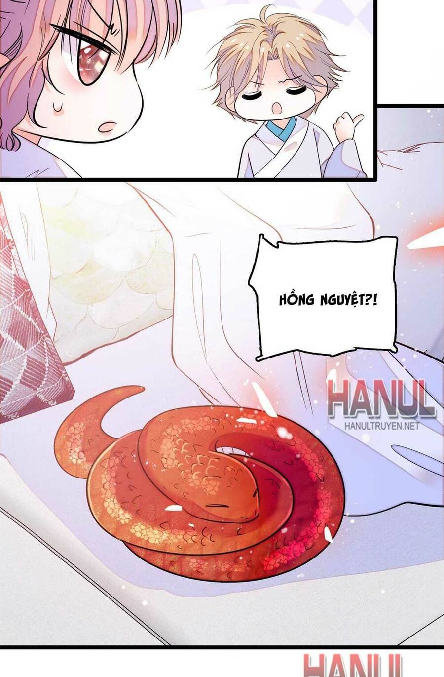 Toàn Mạng Đều Là Fan Cp Của Tôi Với Ảnh Đế Chapter 211 - 19