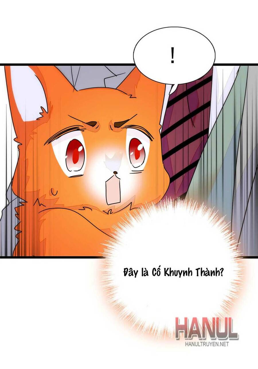 Toàn Mạng Đều Là Fan Cp Của Tôi Với Ảnh Đế Chapter 219 - 49