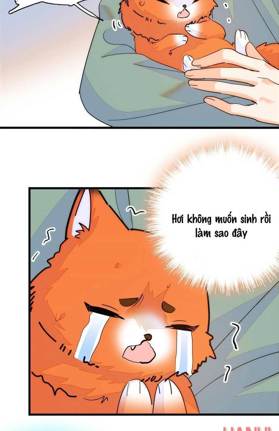 Toàn Mạng Đều Là Fan Cp Của Tôi Với Ảnh Đế Chapter 233 - 73