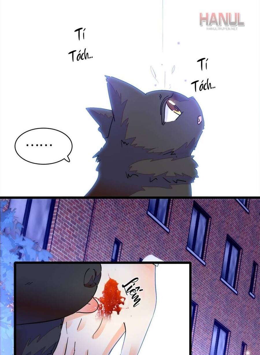 Toàn Mạng Đều Là Fan Cp Của Tôi Với Ảnh Đế Chapter 247 - 11