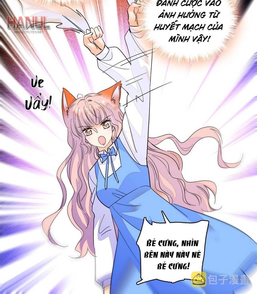 Toàn Mạng Đều Là Fan Cp Của Tôi Với Ảnh Đế Chapter 247 - 20