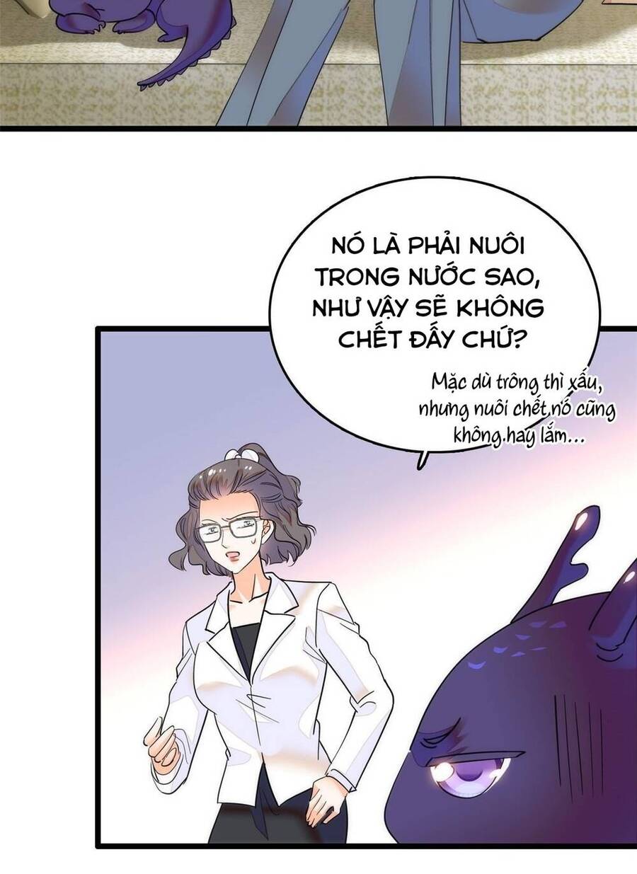 Toàn Mạng Đều Là Fan Cp Của Tôi Với Ảnh Đế Chapter 251 - 3