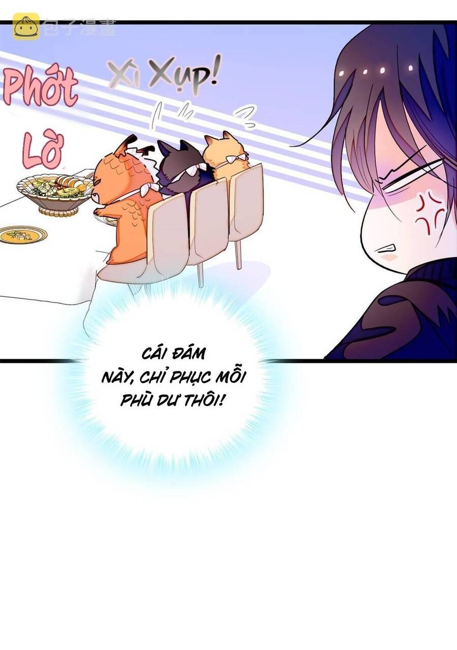 Toàn Mạng Đều Là Fan Cp Của Tôi Với Ảnh Đế Chapter 256 - 20