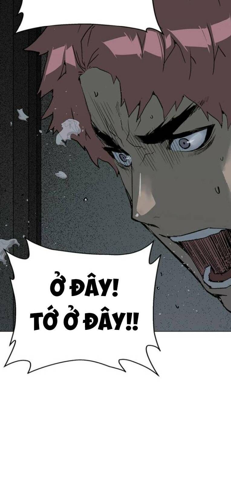 Anh Hùng Yếu Chapter 241 - 19