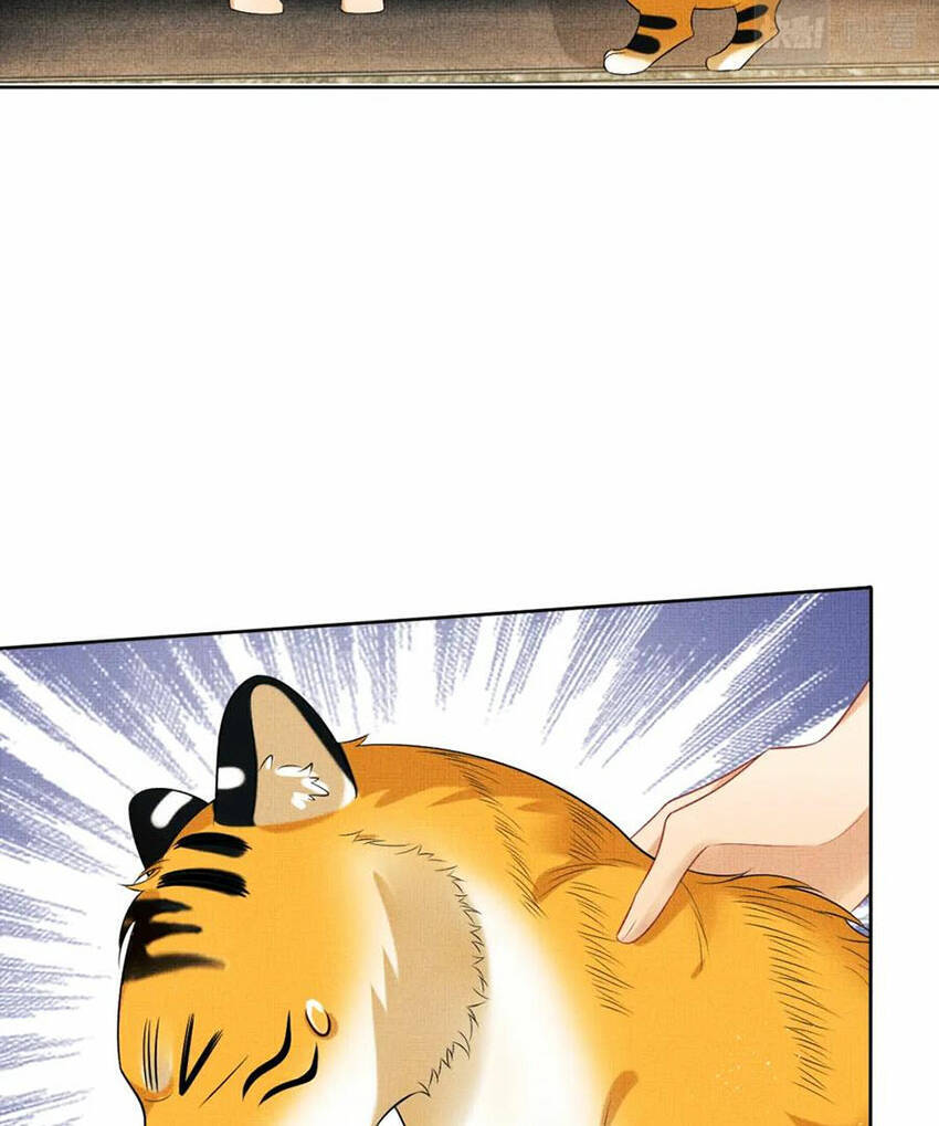 Thê Vi Thượng Chapter 136.4 - 14