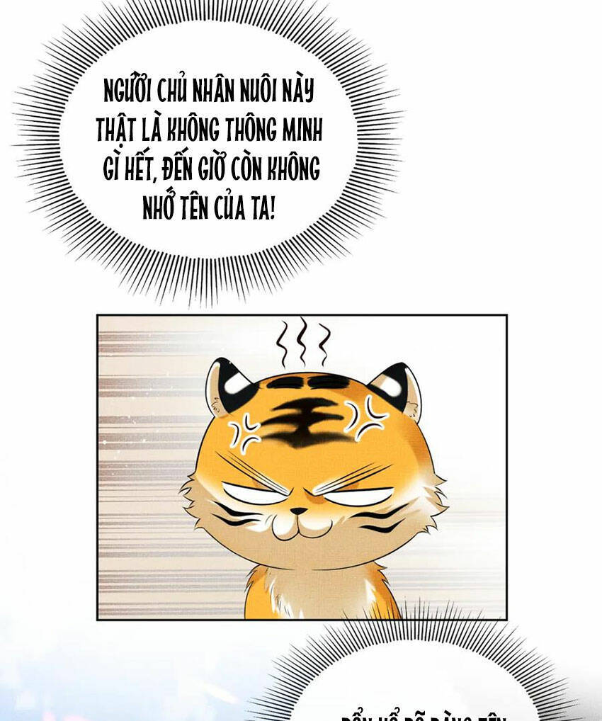 Thê Vi Thượng Chapter 136.4 - 17