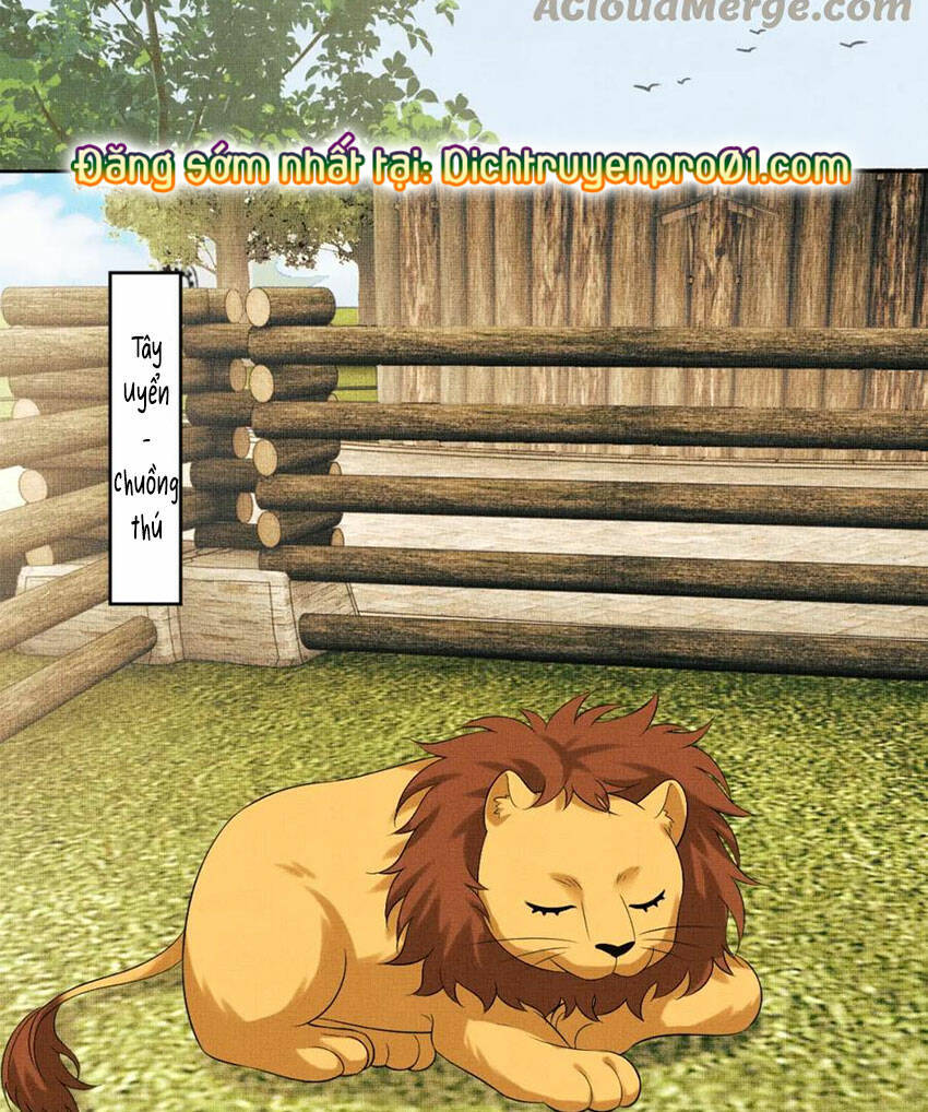 Thê Vi Thượng Chapter 136.4 - 21