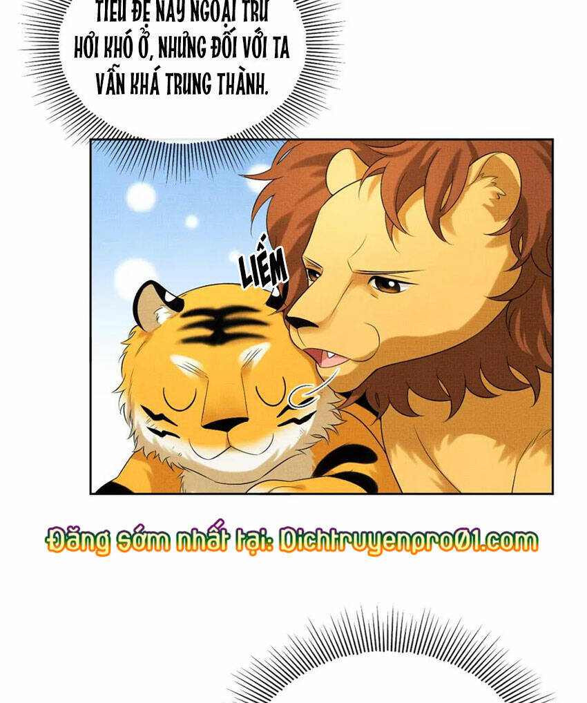 Thê Vi Thượng Chapter 136.4 - 25