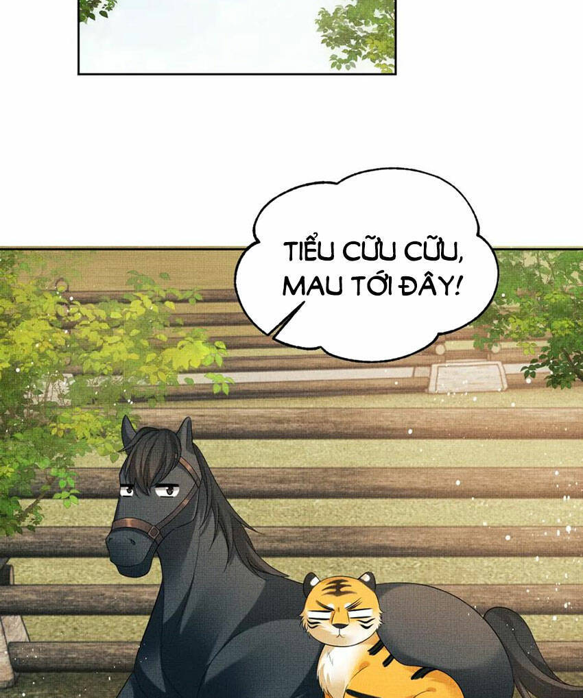 Thê Vi Thượng Chapter 136.4 - 38