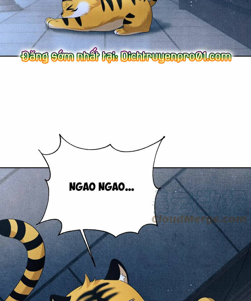 Thê Vi Thượng Chapter 136.4 - 62