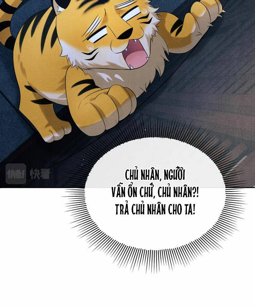 Thê Vi Thượng Chapter 136.4 - 63