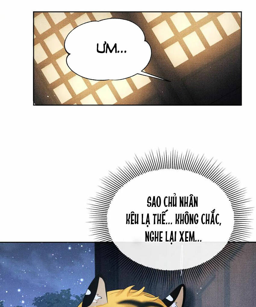 Thê Vi Thượng Chapter 136.4 - 64
