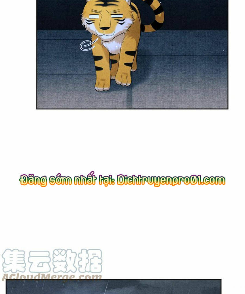 Thê Vi Thượng Chapter 136.4 - 67