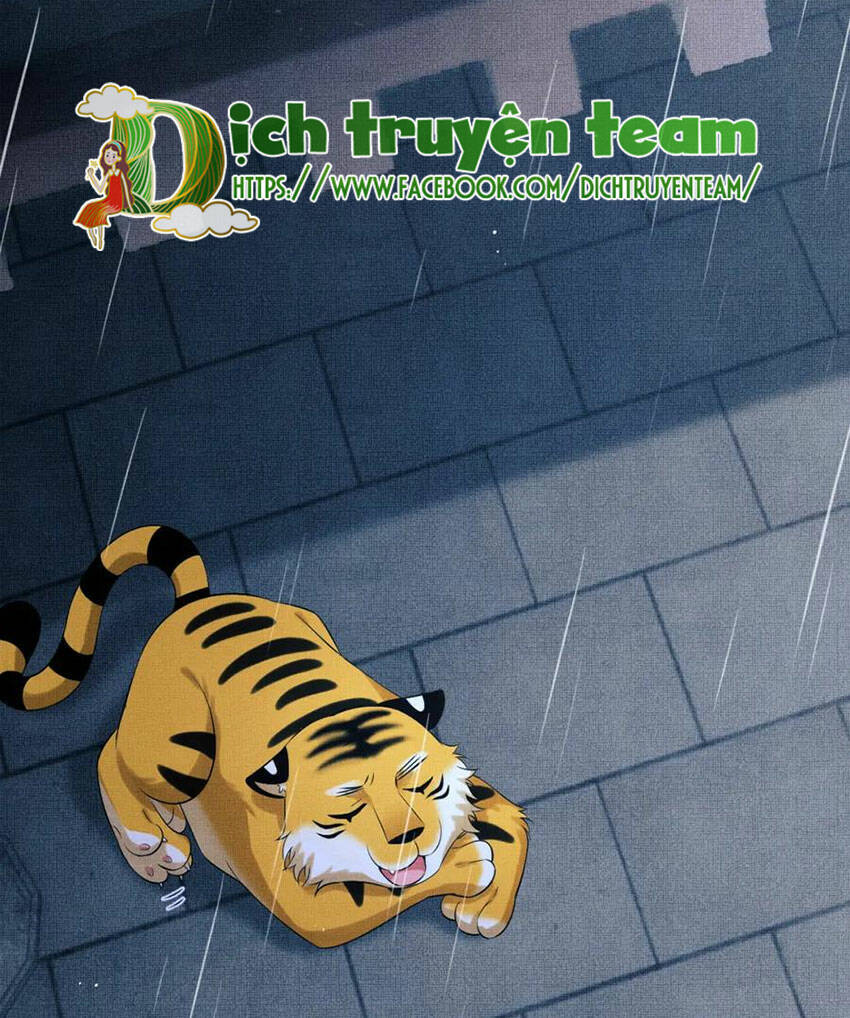 Thê Vi Thượng Chapter 136.4 - 69