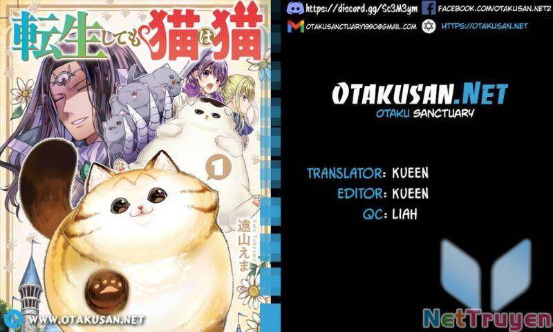 Câu Chuyện Về Một Bé Mèo Được Đầu Thai Ở Một Thế Giới Không Có Mèo Chapter 12 - 2