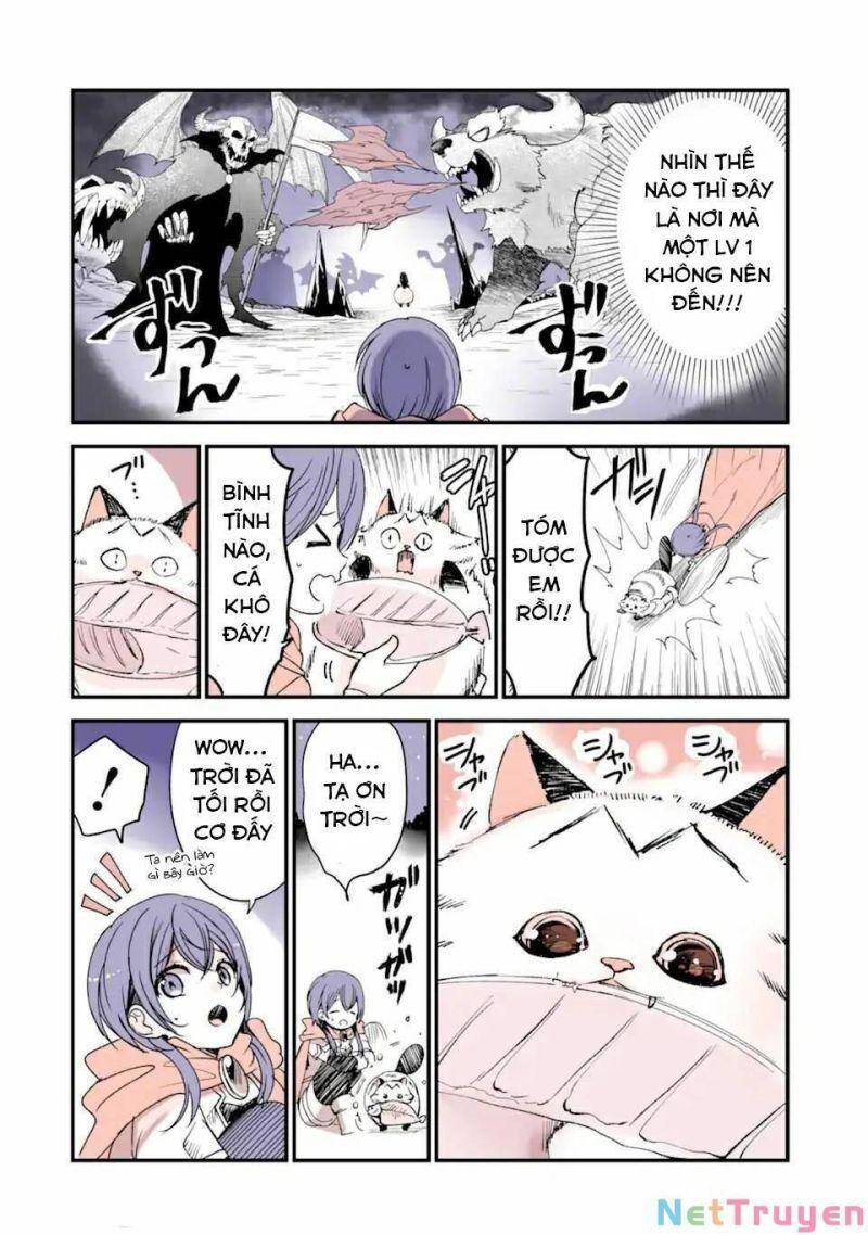 Câu Chuyện Về Một Bé Mèo Được Đầu Thai Ở Một Thế Giới Không Có Mèo Chapter 12 - 4
