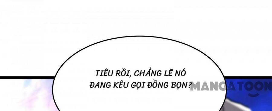 Đồ Đệ Của Ta Đều Là Nữ Ma Đầu Chapter 182 - 38