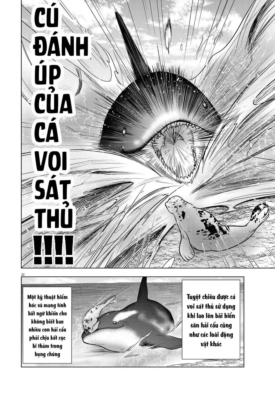 Tôi Không Phải Miếng Mồi Ngon Của Mấy Người! Chapter 12 - 31