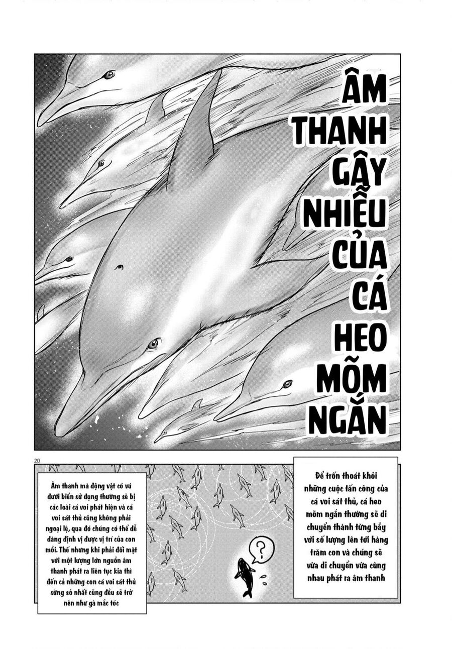 Tôi Không Phải Miếng Mồi Ngon Của Mấy Người! Chapter 13 - 18