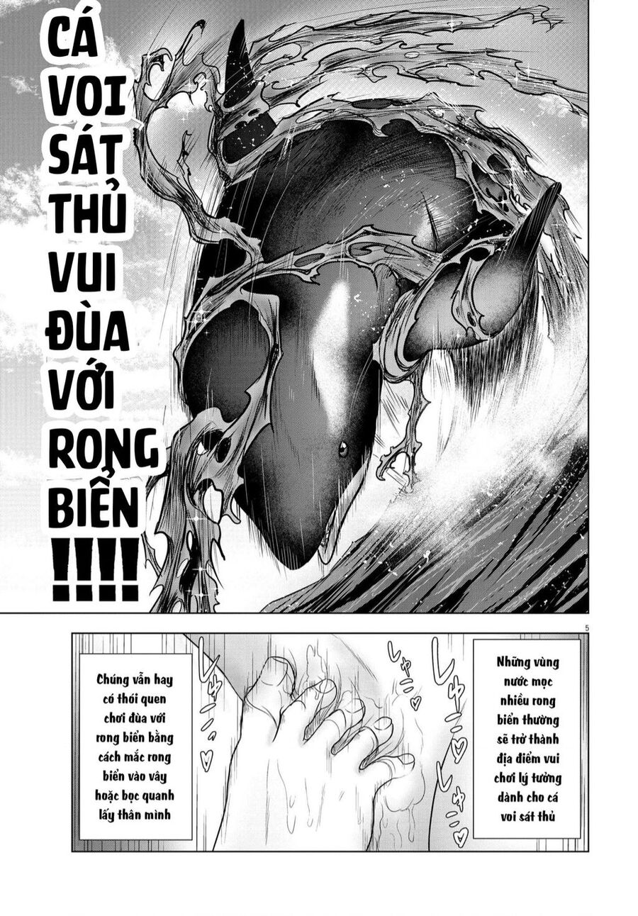 Tôi Không Phải Miếng Mồi Ngon Của Mấy Người! Chapter 13 - 5