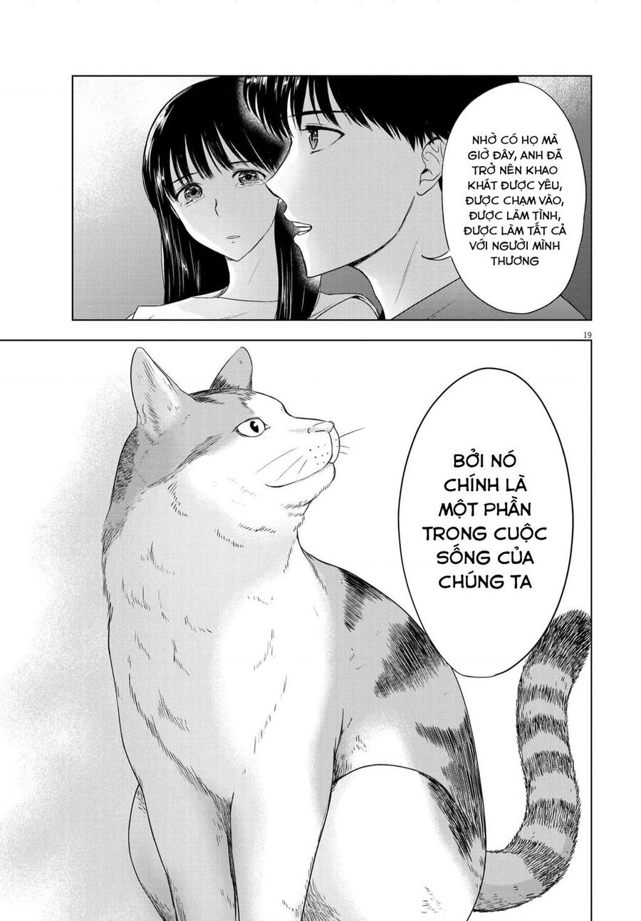 Tôi Không Phải Miếng Mồi Ngon Của Mấy Người! Chapter 14 - 20