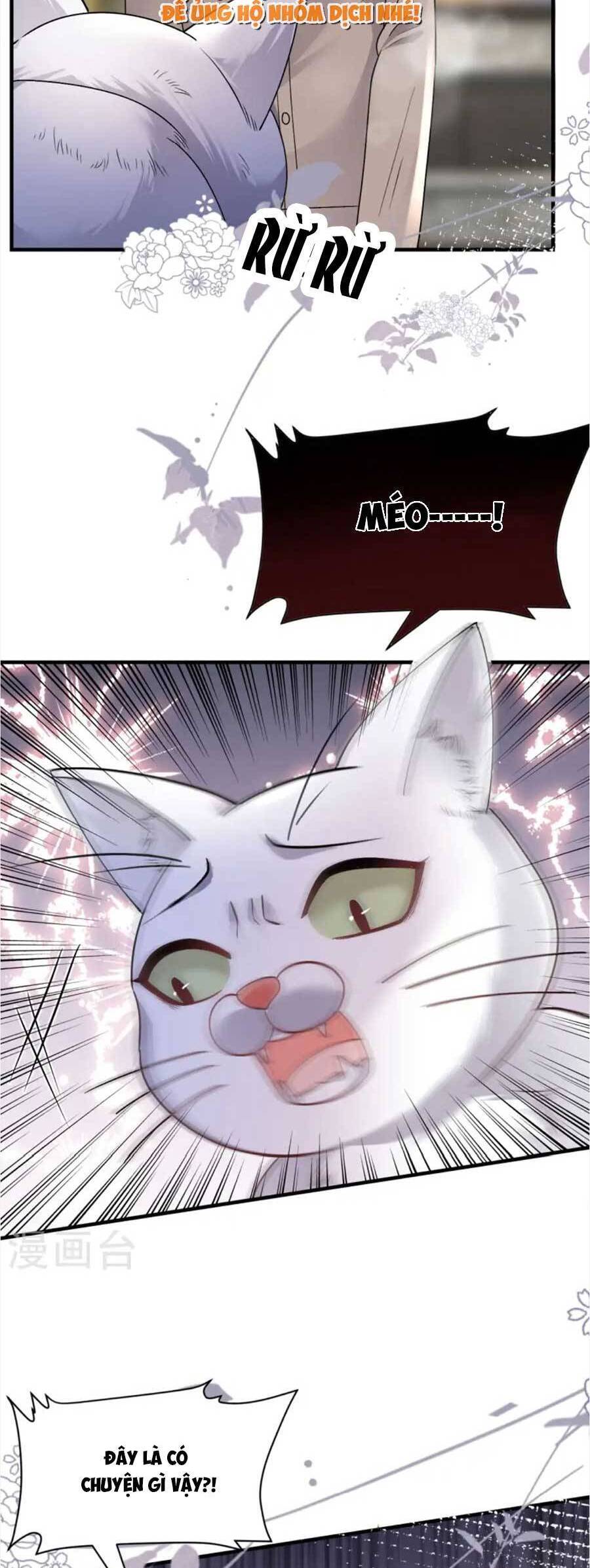 Đại Tiểu Thư Có Thể Có Cái Gì Xấu Chapter 176 - 24