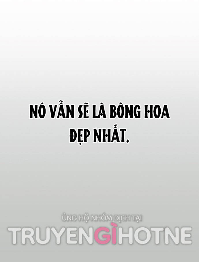 Thanh Xuân Rực Rỡ Chapter 128 - 52