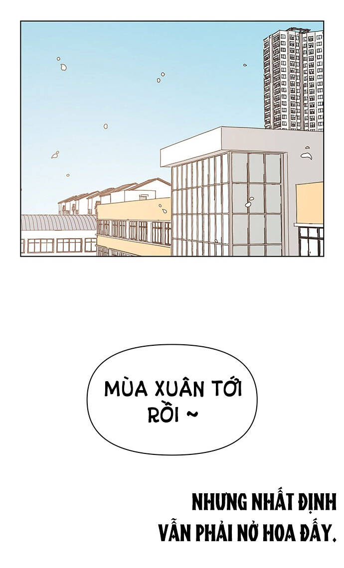 Thanh Xuân Rực Rỡ Chapter 128 - 69