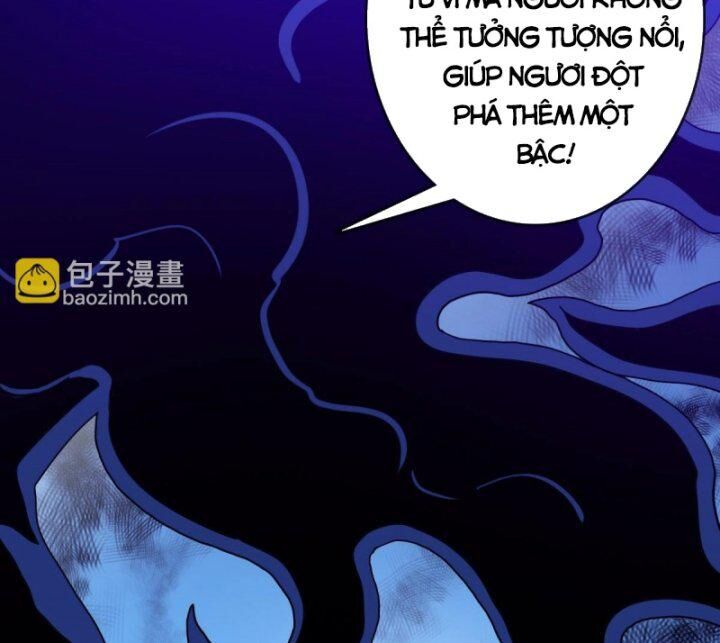 Hệ Thống Thăng Cấp Điên Cuồng Chapter 52 - 19