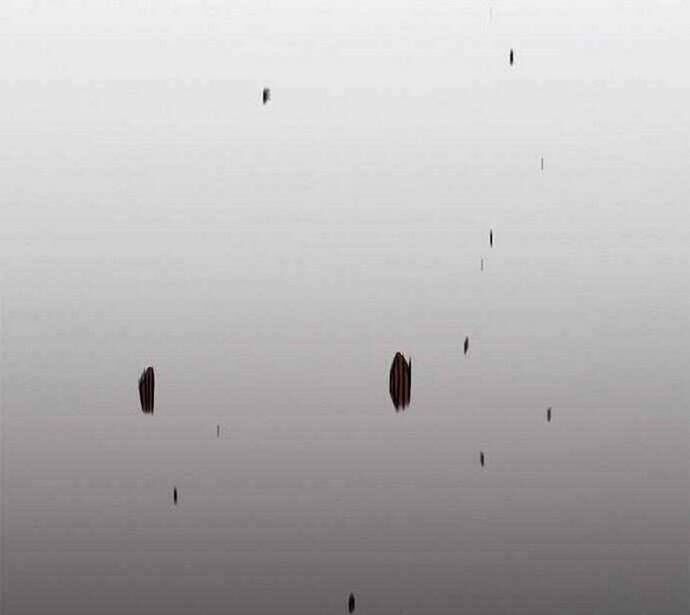 Knight Under Heart Chapter 20 - 133