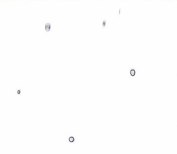 Knight Under Heart Chapter 25 - 104