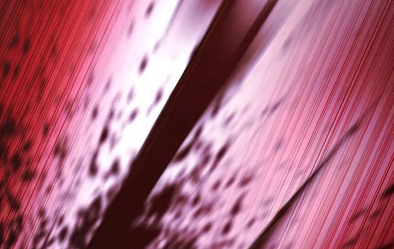 Thợ Săn Ăn Thịt Người Chapter 38 - 119