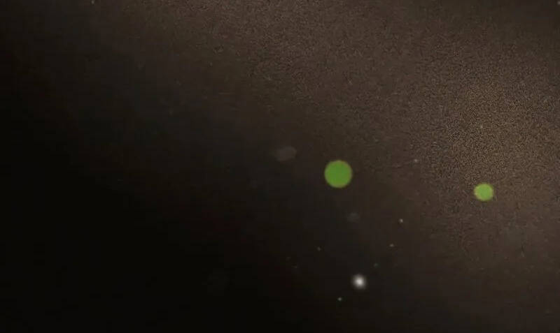 Thợ Săn Ăn Thịt Người Chapter 38 - 95