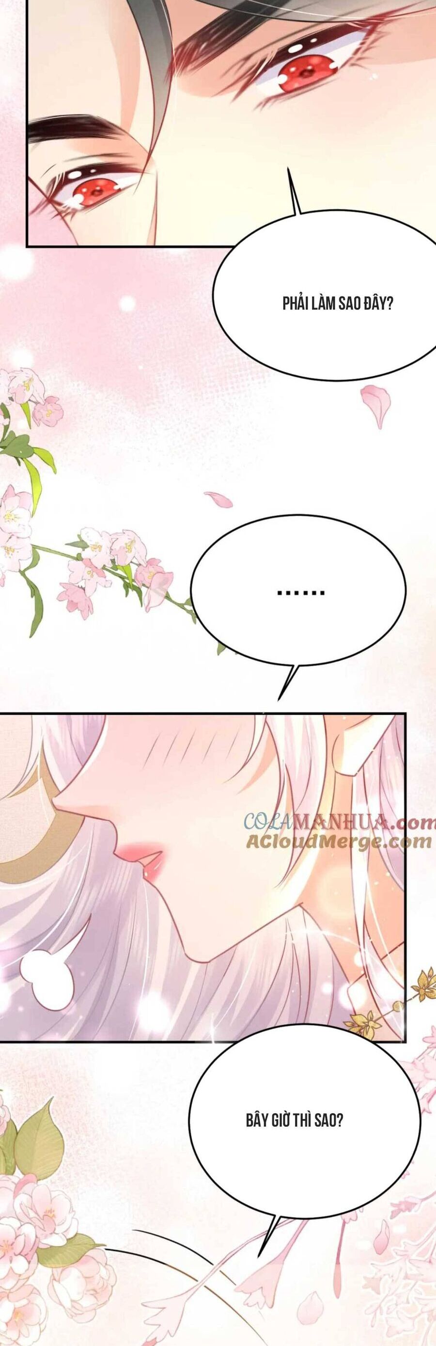 Sư Phụ Ta Muốn Người Là Của Riêng Ta Chapter 60 - 13