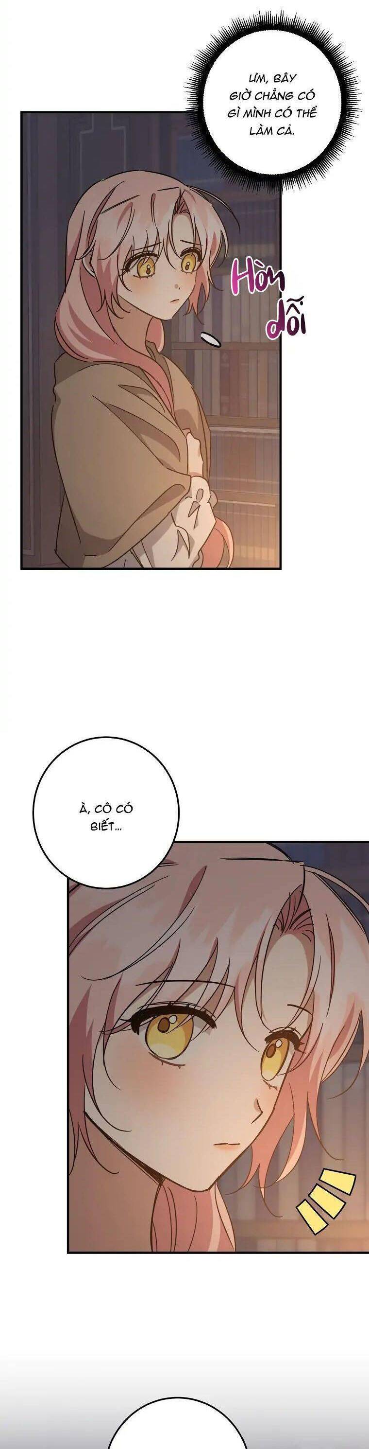 Nhân Vật Phản Diện Được Tôi Nuôi Dưỡng Tốt Chapter 29 - 13