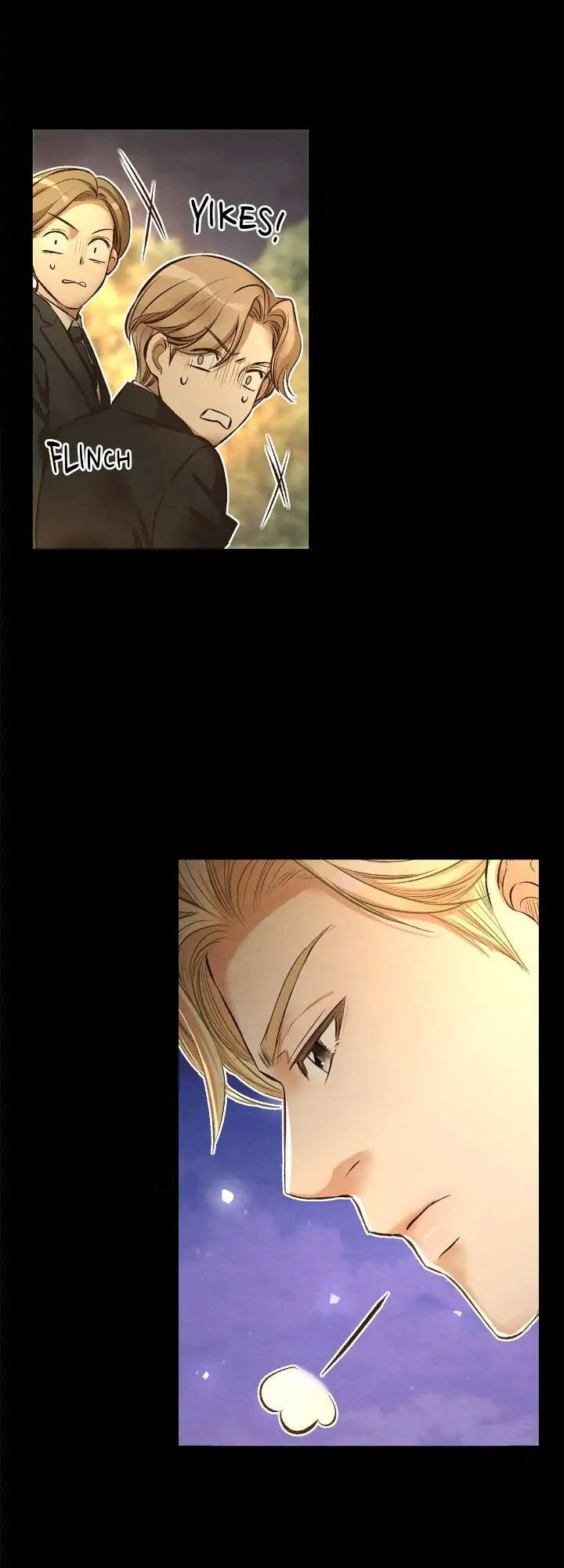 Chàng Hoàng Tử Này Có Vấn Đề Chapter 16.2 - 10