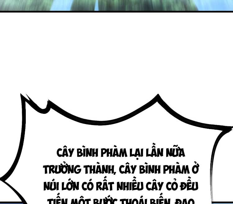 Ta Ở Nhà 100 Năm Khi Ra Ngoài Đã Vô Địch Chapter 124 - 17