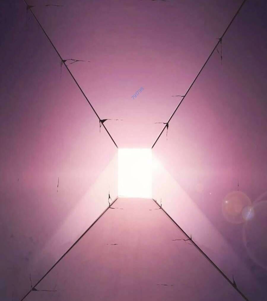 Cuồng Thú Chapter 25 - 46