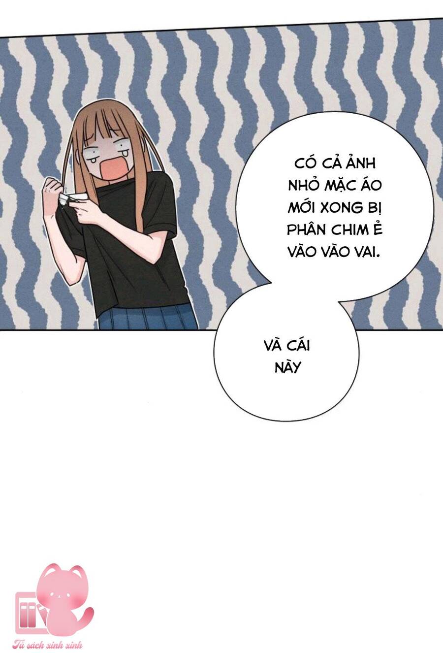 Bí Mật Thanh Xuân Chapter 39 - 47