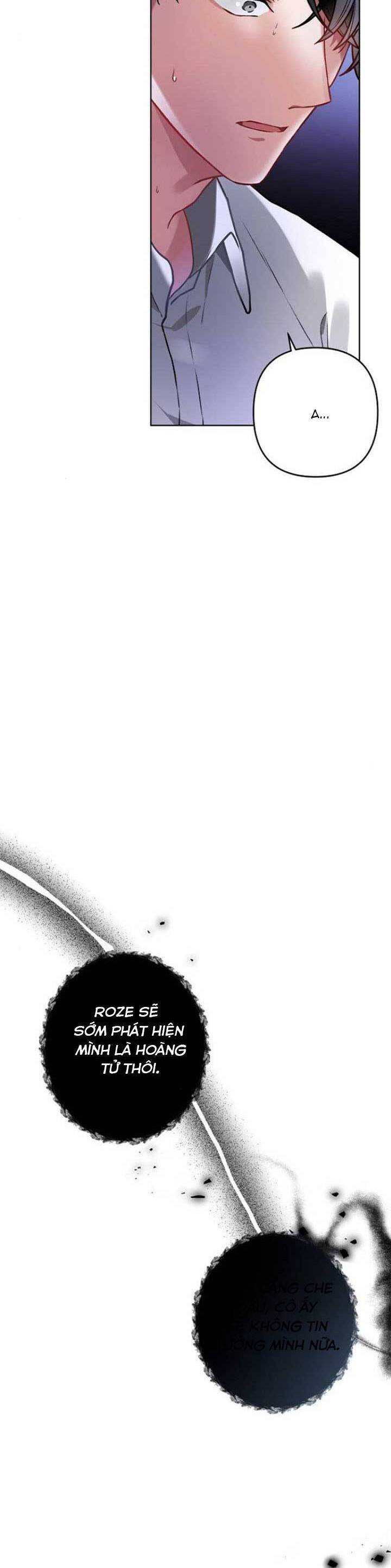 Nàng Hậu Của Tro Tàn Chapter 4 - 16
