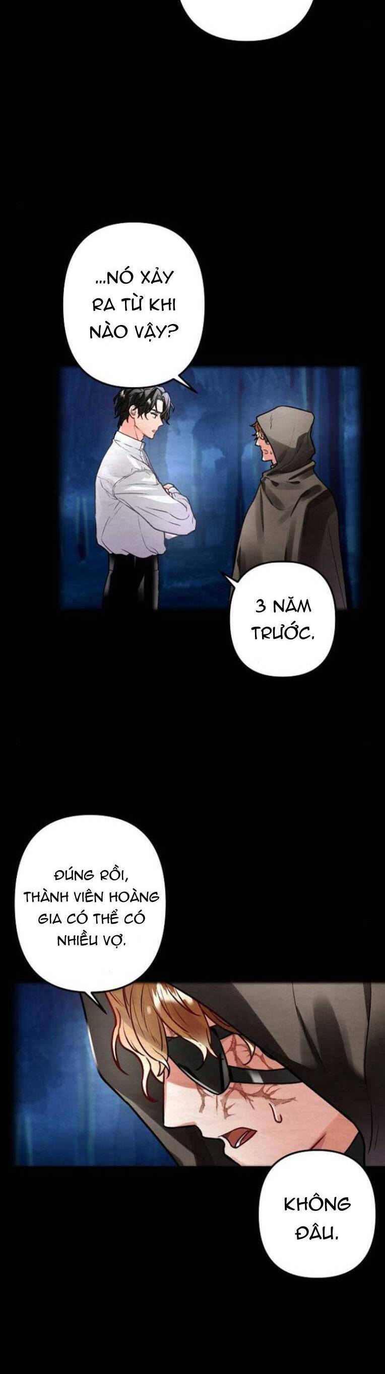 Nàng Hậu Của Tro Tàn Chapter 3 - 22