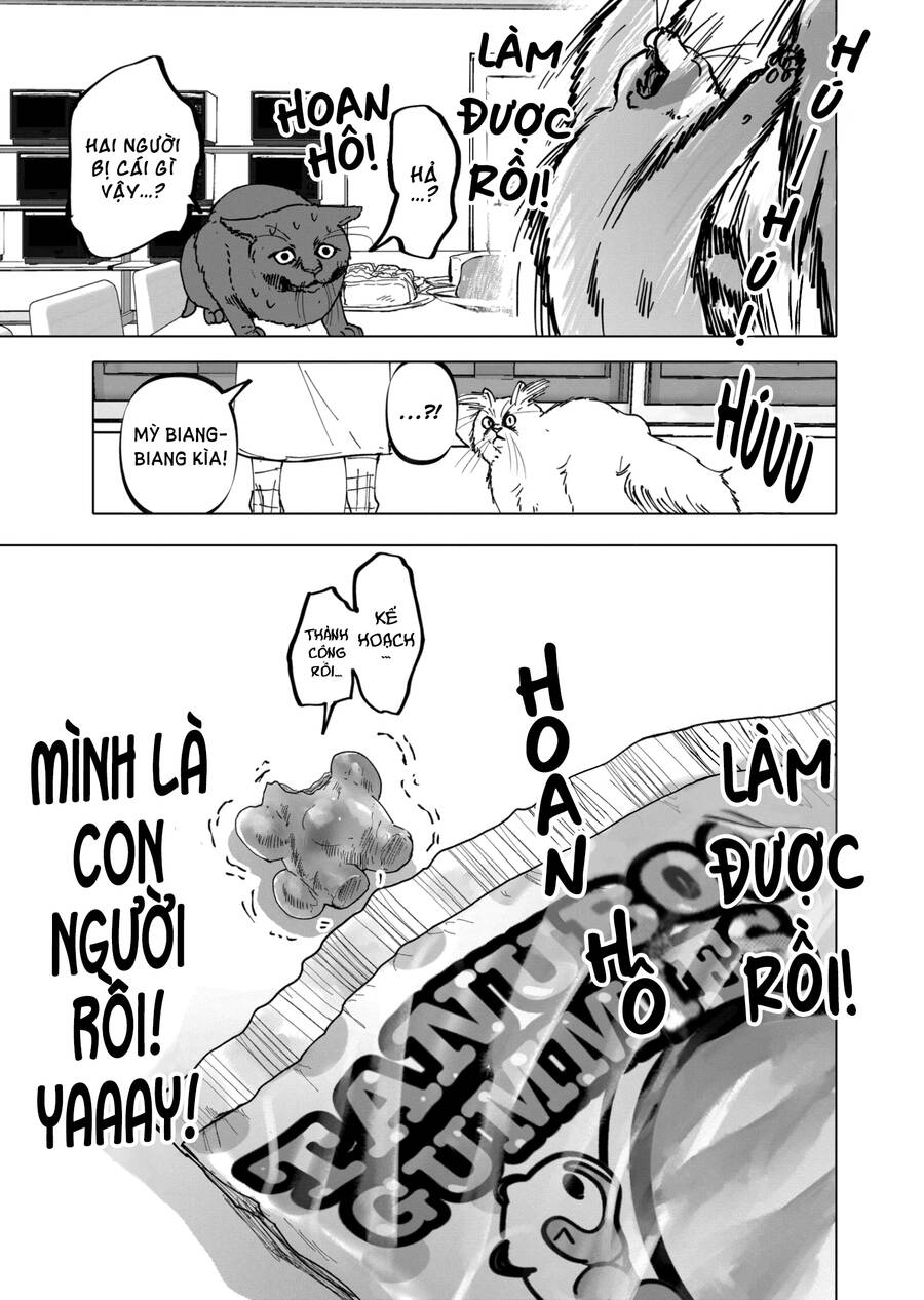 After God Chapter 37 - 25