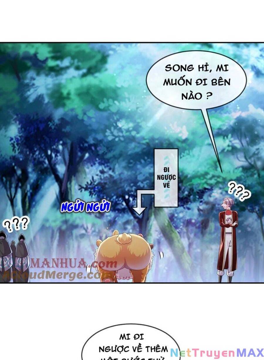 Tuyệt Sắc Đạo Lữ Đều Nói Ngô Hoàng Thể Chất Vô Địch Chapter 58 - 47