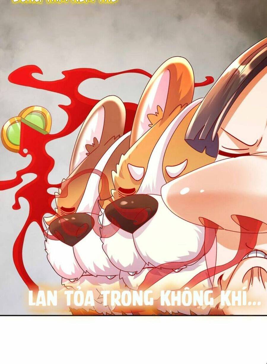 Tuyệt Sắc Đạo Lữ Đều Nói Ngô Hoàng Thể Chất Vô Địch Chapter 61 - 31
