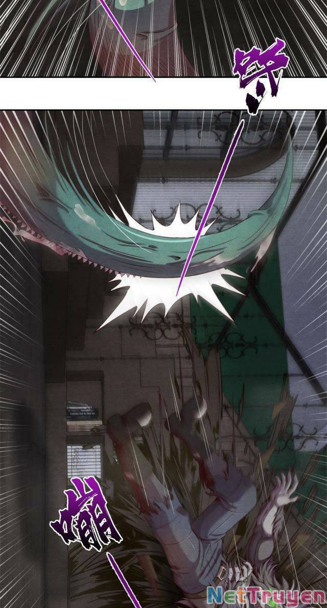 Cựu Nhật Chúa Tể Chapter 24 - 13