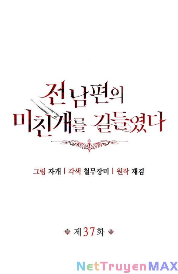 Tôi Thuần Hóa Chó Điên Của Chồng Cũ Chapter 37 - 16