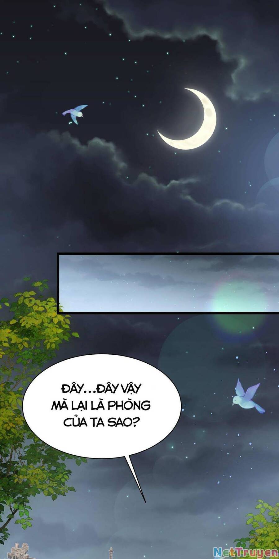 Lô Đỉnh Độc Quyền Của Các Nữ Đế Tương Lai Chapter 11 - 5