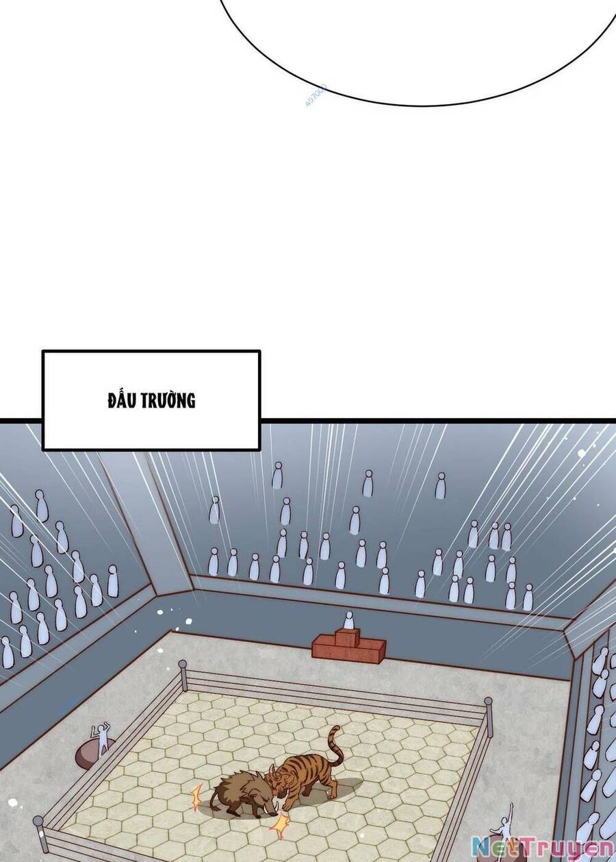 Lô Đỉnh Độc Quyền Của Các Nữ Đế Tương Lai Chapter 13 - 35